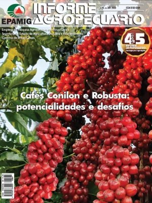 Reposicionando o café canéfora (conilon e robusta) no mercado - Revista  Espresso