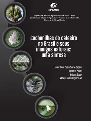 Cochonilhas do cafeeiro no Brasil e seus inimigos naturais: uma síntese