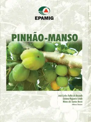 Pinhão-Manso