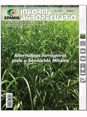 IA 317 (D) – Alternativas forrageiras para o Semiárido Mineiro
