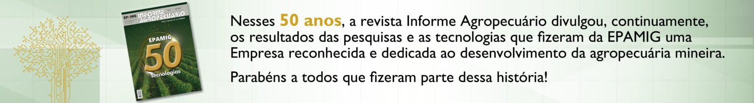 IA 50 anos