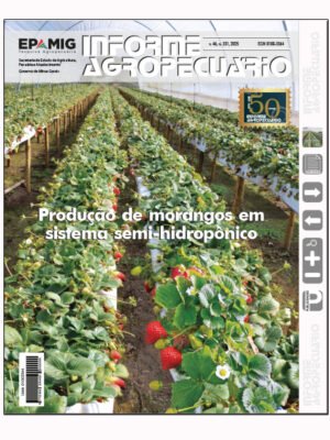 IA 331 (D) – Produção de morangos em sistema semi-hidropônico