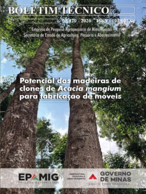 BT 120 - Potencial das madeiras de clones de Acacia mangium para fabricação de móveis