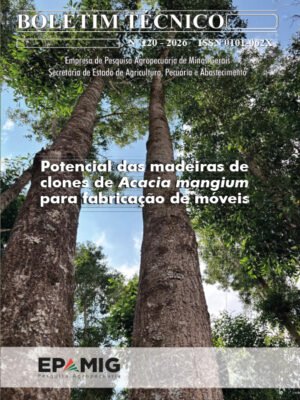BT 120 - Potencial das madeiras de clones de Acacia mangium para fabricação de móveis