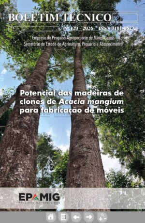 BT 120 (D) – Potencial das madeiras de clones de Acacia mangium para fabricação de móveis