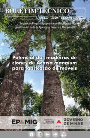 BT 120 (D) – Potencial das madeiras de clones de Acacia mangium para fabricação de móveis
